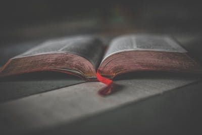 GracePad app preview showing Bible text alongside user notes and annotations